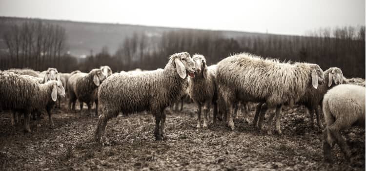 Well organized clean code Well organized clean code