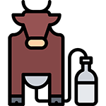 Latte di alta qualità Latte di alta qualità