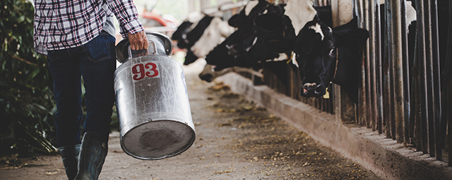 Il nostro latte Il nostro latte
